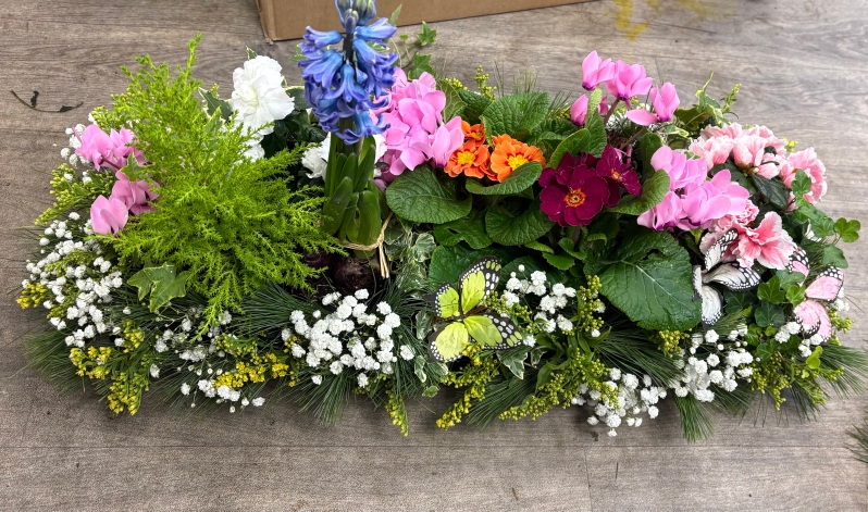 Planted  Living Coffin Spray