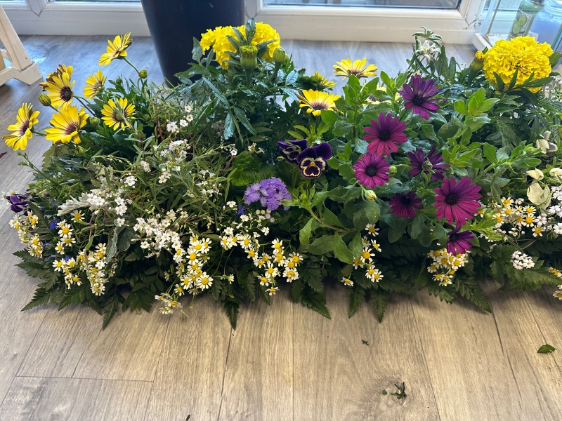 Planted  Living Coffin Spray