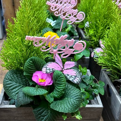 Mother's Day keepsake box planter
