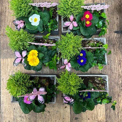 Mother's Day keepsake box planter