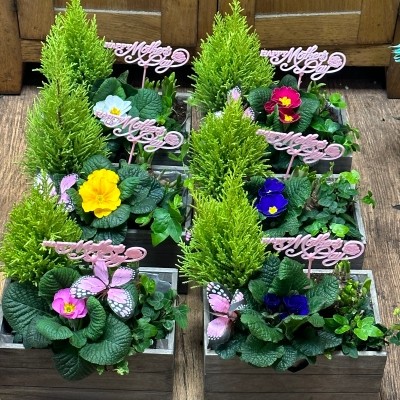 Mother's Day keepsake box planter