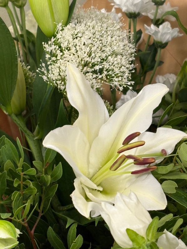 Exquisite Whites