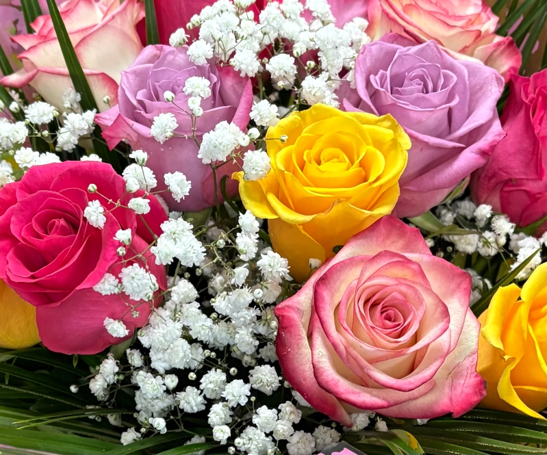 12 Mix colour roses