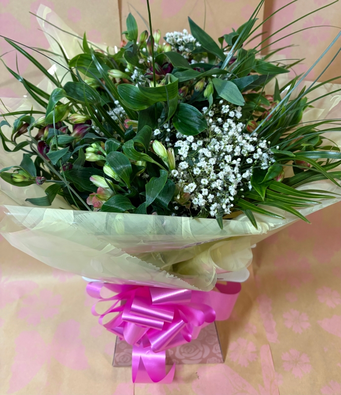 All about the Alstro