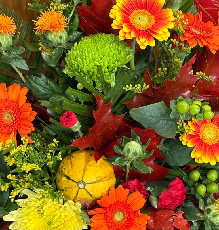 Autumn Front facing