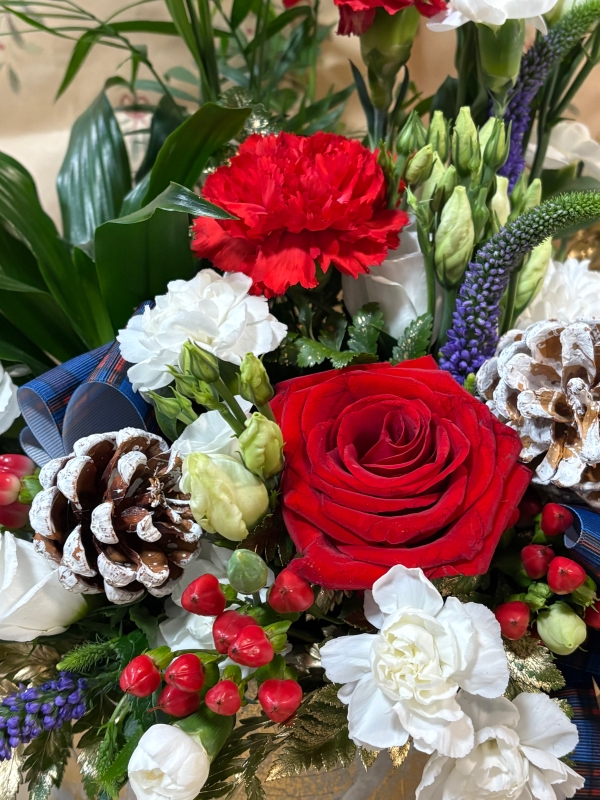 Christmas Pot et Fleur