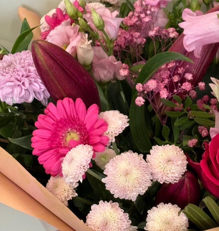 Exquisite Pinks
