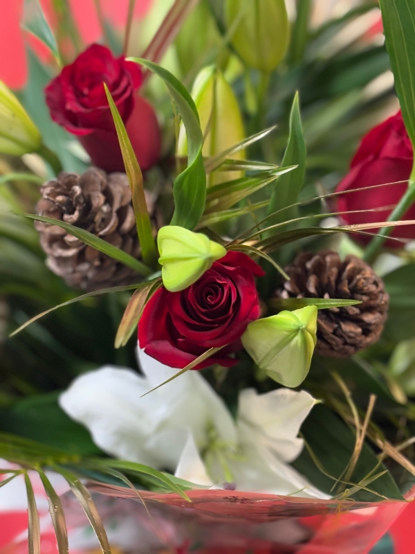 Festive Perfect Beauty