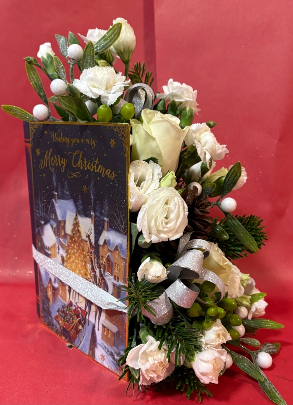 Merry Christmas Book
