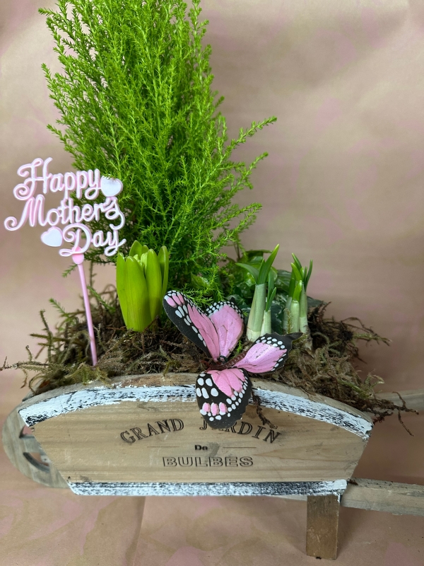 Mother's Day Wheelbarrow