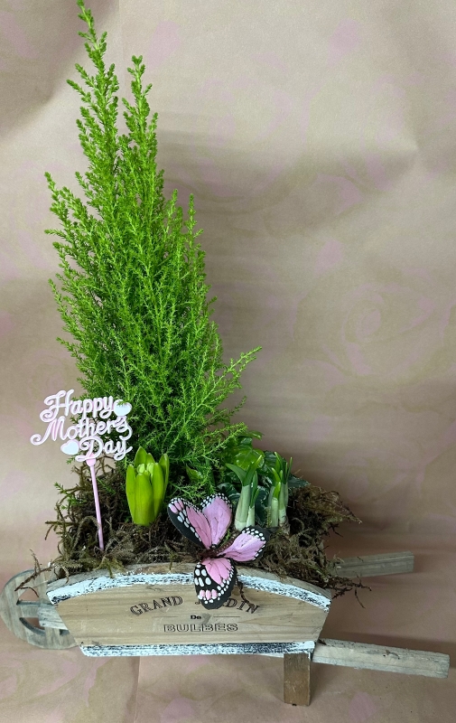 Mother's Day Wheelbarrow