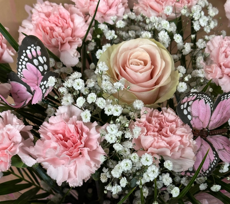 Pretty in pink