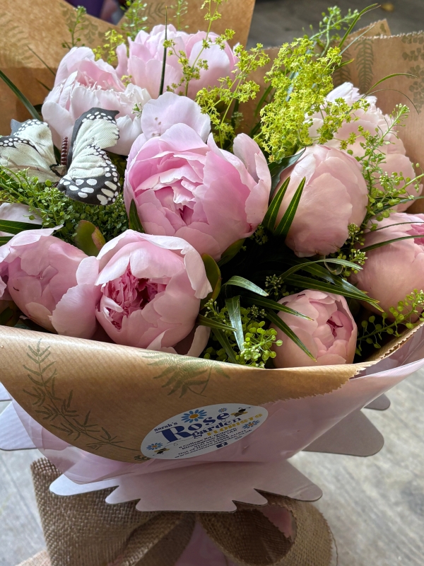 Pretty Peonies