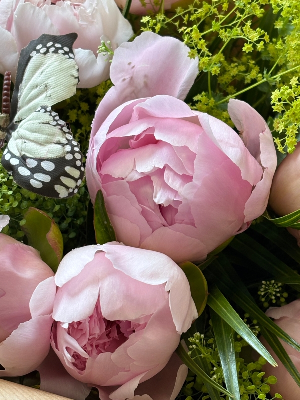 Pretty Peonies