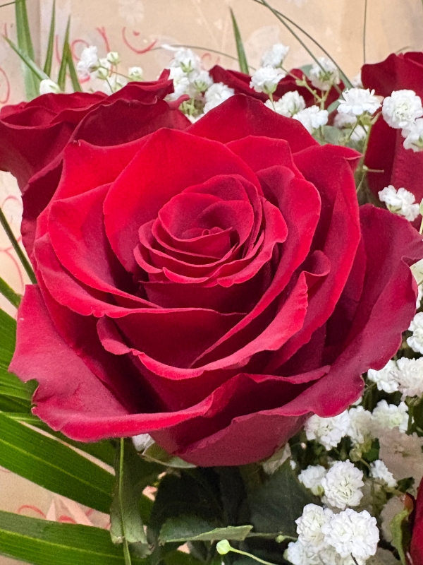 Simply The Best Dozen