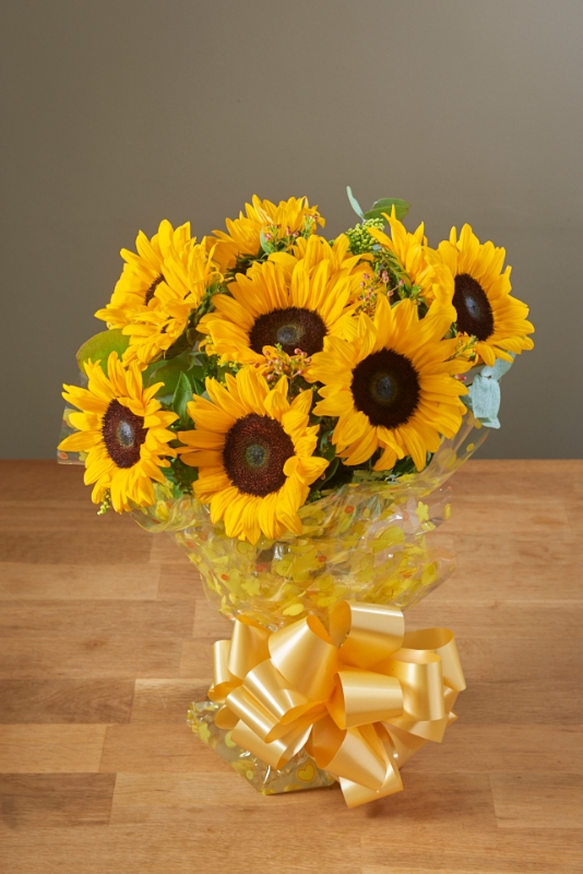 Sunflower Surprise