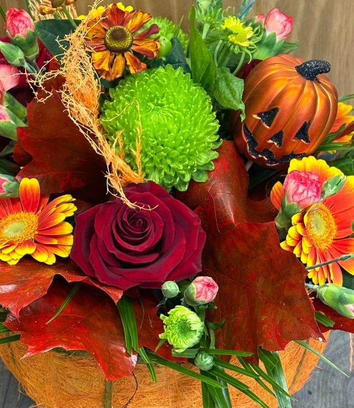 Trick or treat