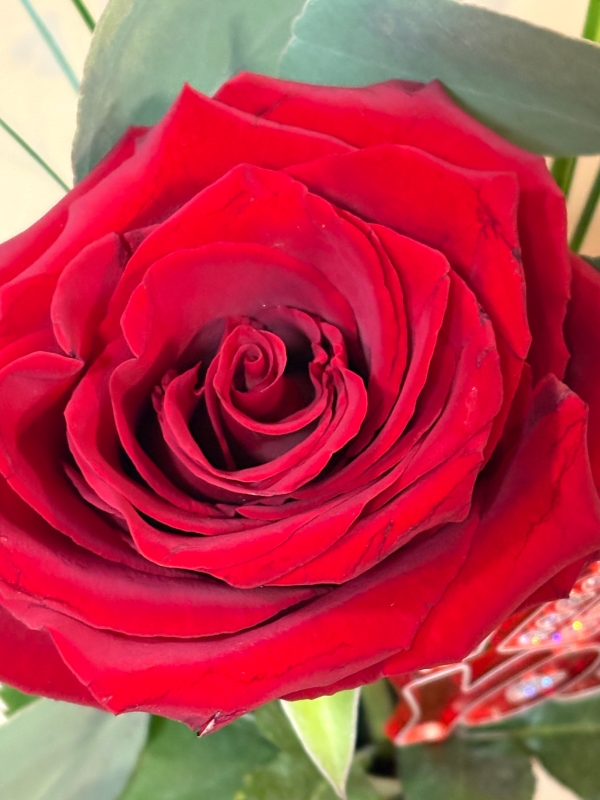 Valentine's Single Red Rose with vase