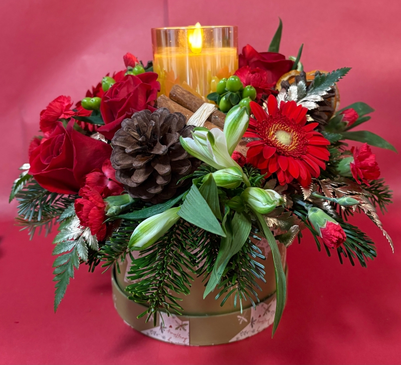 Warm Winter Glow