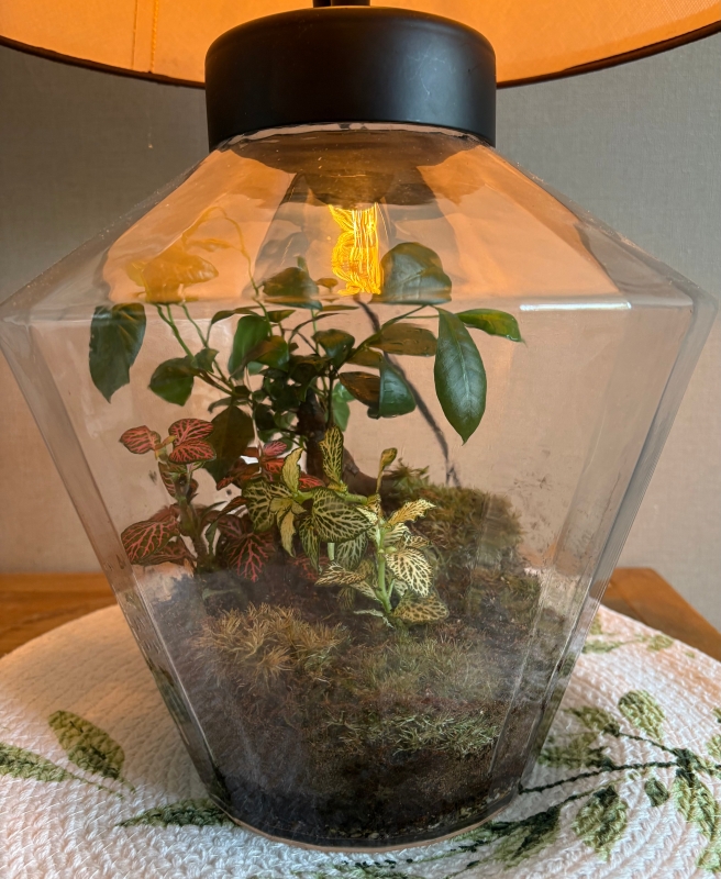 WIN ME..... Order your Mother's Day Flowers from SRG For your chance to WIN