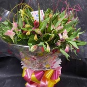 All about Alstroemeria