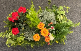 Planted  Living Coffin Spray