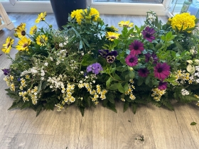 Planted  Living Coffin Spray