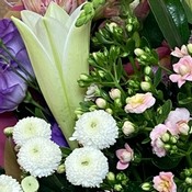 Florists Choice Weekley special
