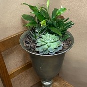 Succulent Indoor planter