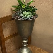 Succulent Indoor planter