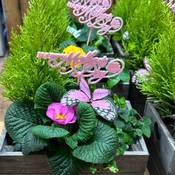 Mother's Day keepsake box planter