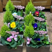 Mother's Day keepsake box planter