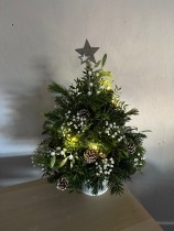Oh Christmas Tree Oh Christmas tree