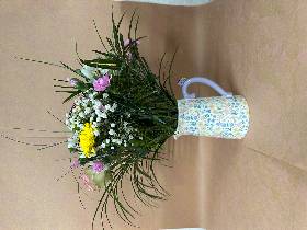 Flower Jugs