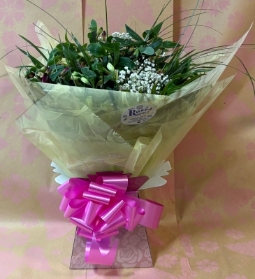 All about the Alstro