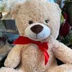 Large Cuddly Bears