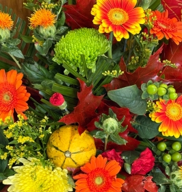 Autumn Front facing