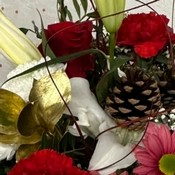 Festive Cheer