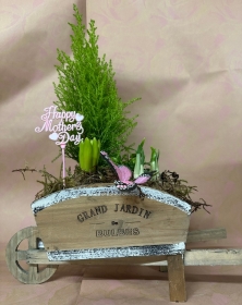 Mother's Day Wheelbarrow