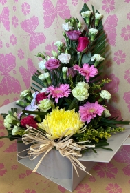 Pastel Surprise