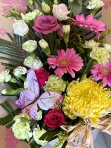 Pastel Surprise