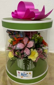 SRG Teachers presentation box