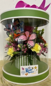SRG Teachers presentation box