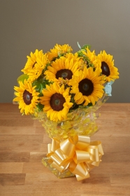 Sunflower Surprise
