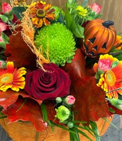 Trick or treat