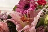 Simply Pinks
